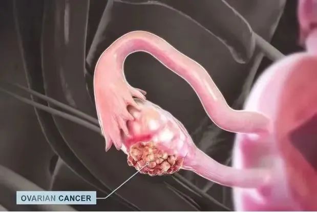 640 (4).jpg 640 (4).jpg