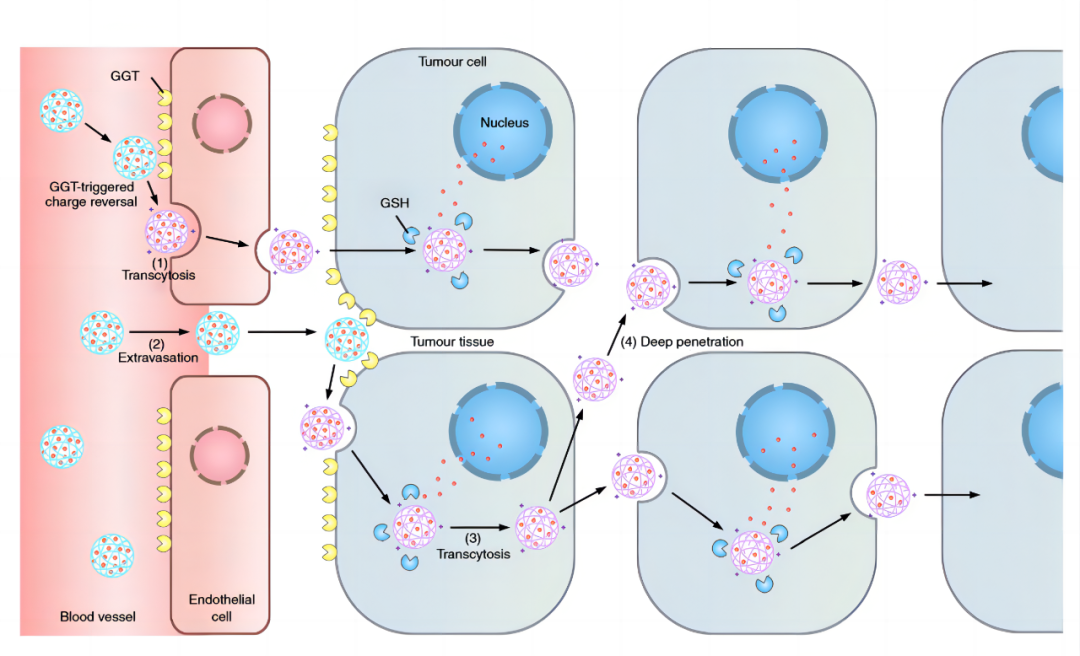 640 (9).png 640 (9).png